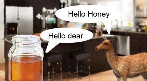 heloo honey dear